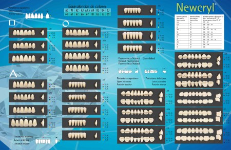 Carta de Moldes Newcryl Vita 2